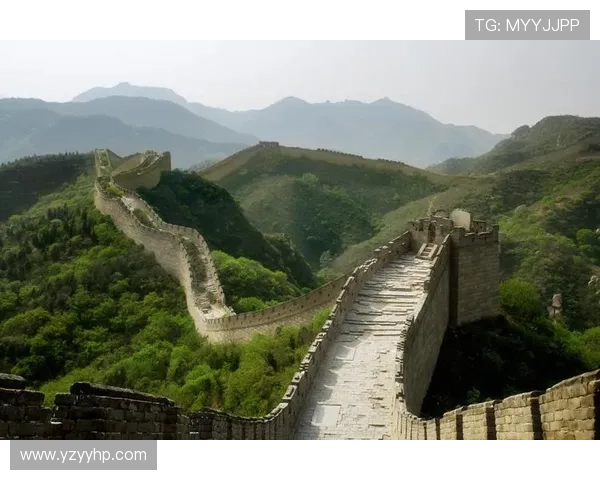 北京排球队的拼搏历程与辉煌成就全景纪实 北京排球队的拼搏历程与辉煌成就全景纪实