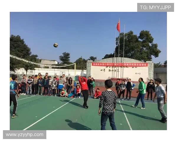 成都排球队的奋斗历程与冠军赛背后的成长故事 成都排球队的奋斗历程与冠军赛背后的成长故事