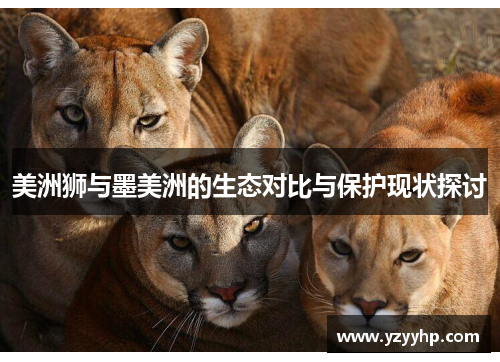 美洲狮与墨美洲的生态对比与保护现状探讨